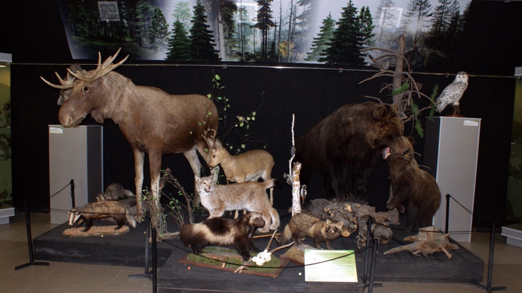 ЛИЦОМ К ЛИЦУ С ПРИРОДОЙ.jpg