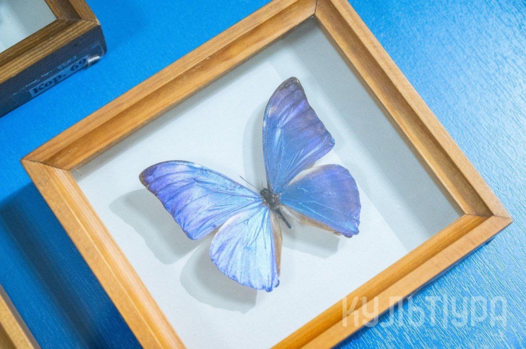 мал да удал.jpeg