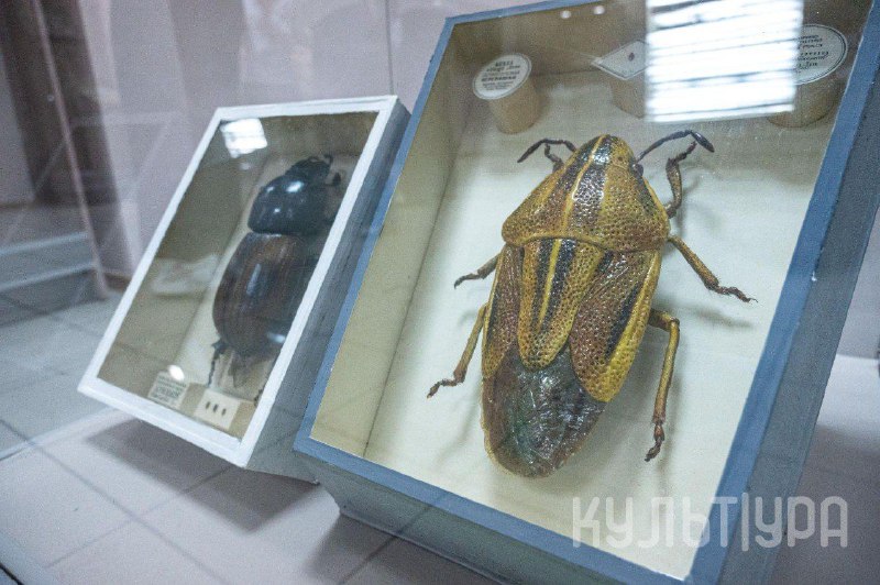 мал да удал 2.jpeg