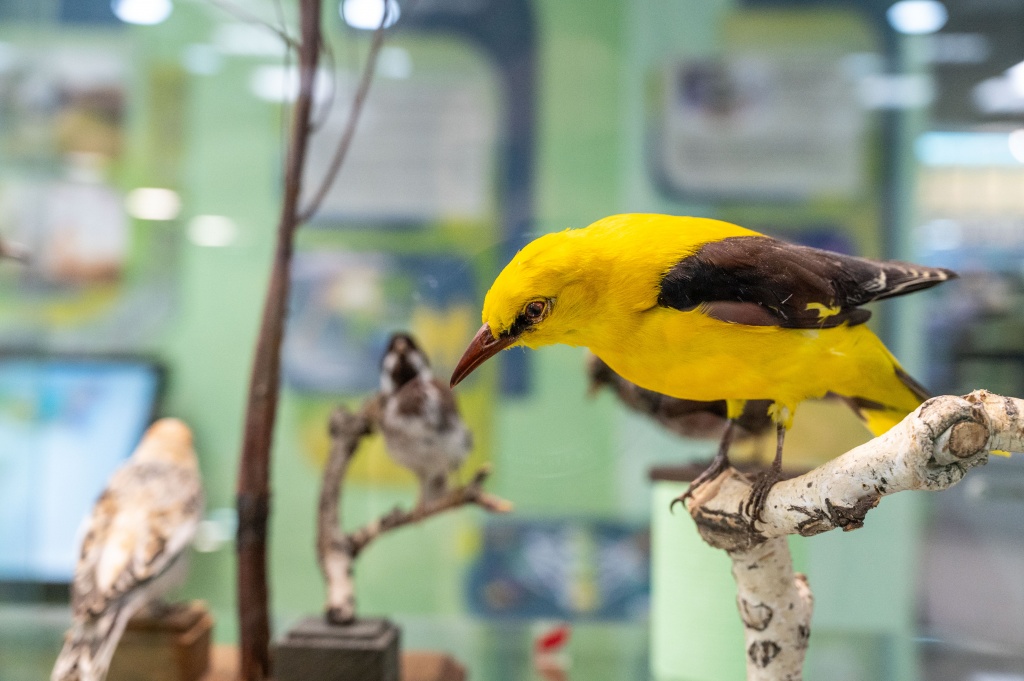 самой природой так заведено 1.jpg