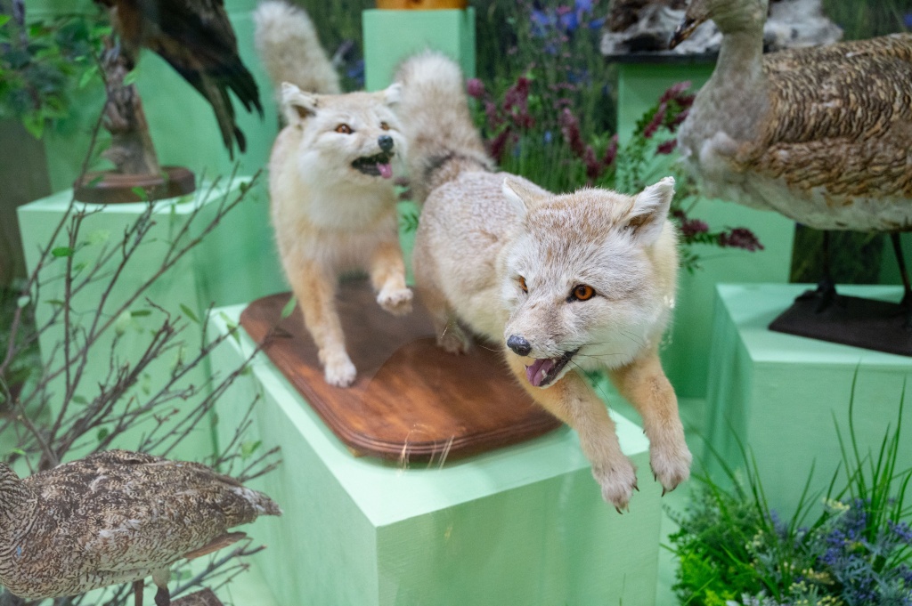 самой природой так заведено 2.jpg самой природой так заведено 2.jpg