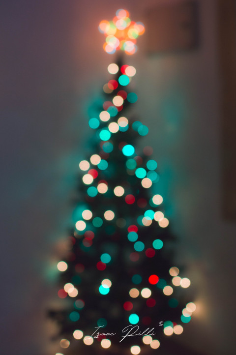 новый год 2.jpg