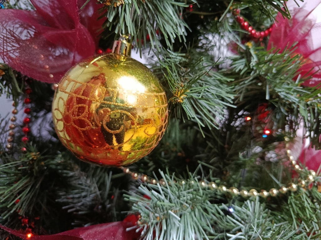 шарик.jpg шарик.jpg