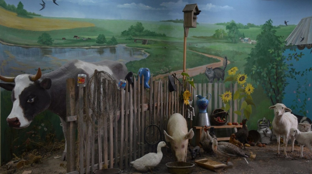 «Мир природы в мире людей»..jpg