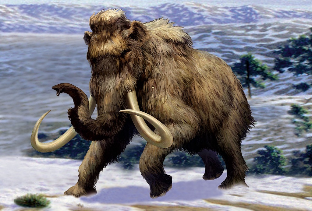 И прошлое умеет говорить.jpg