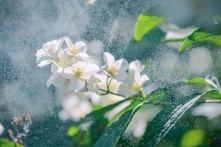 Куда сходить в Омске 12, 13, 14 и 15 мая