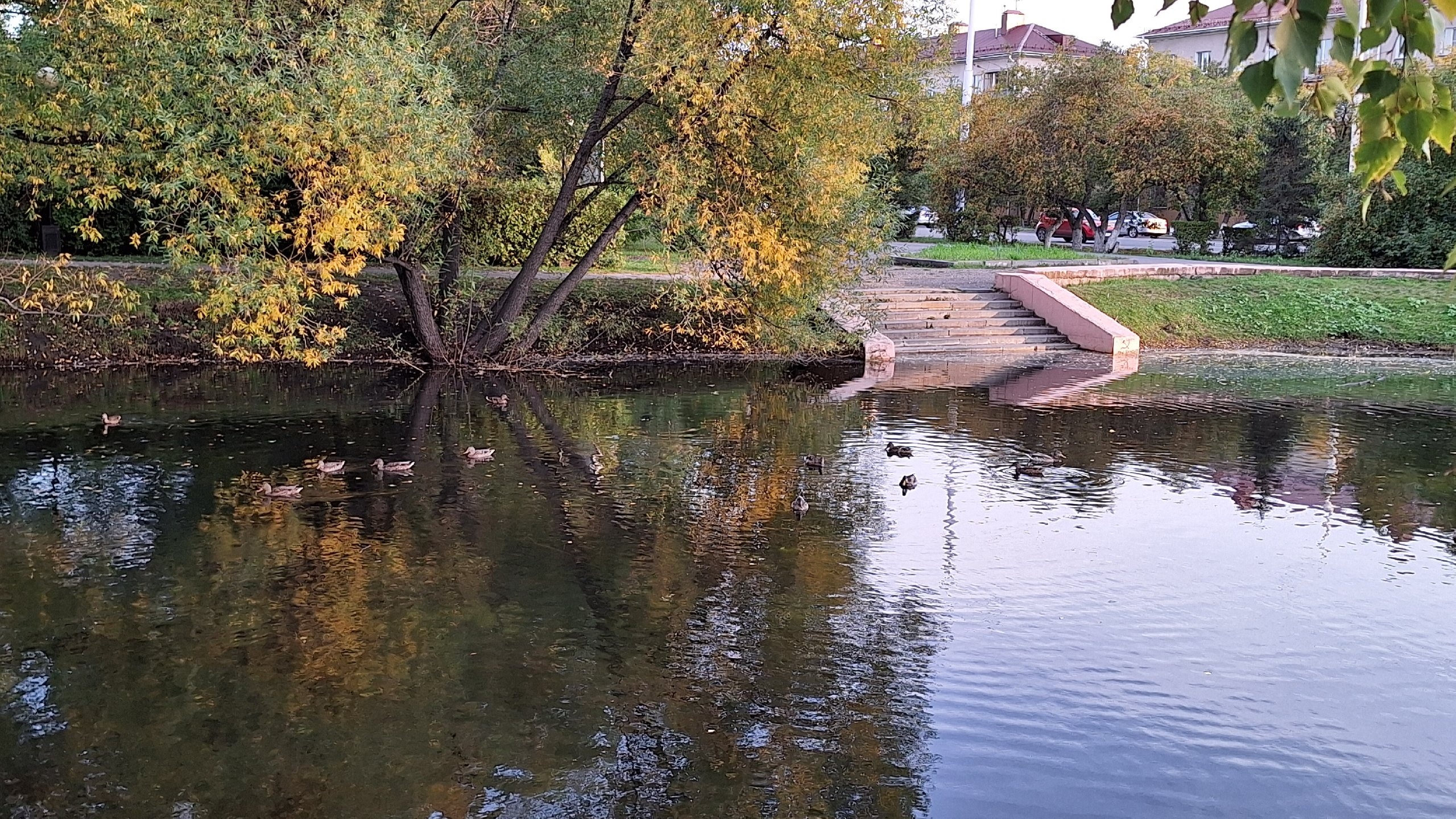 Куда пойти в Омске 1, 2, 3 и 4 сентября