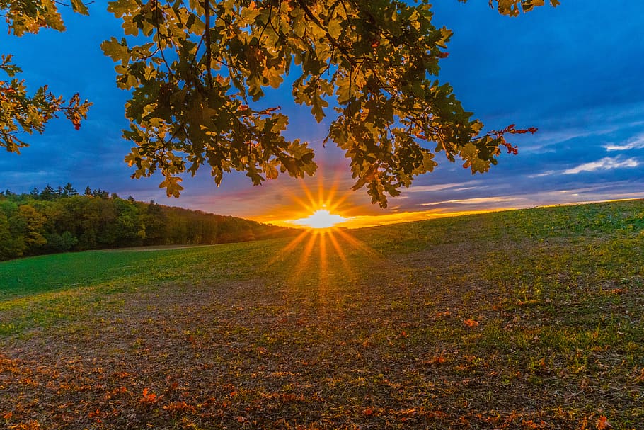 На Солнце произошёл мощный выброс плазмы