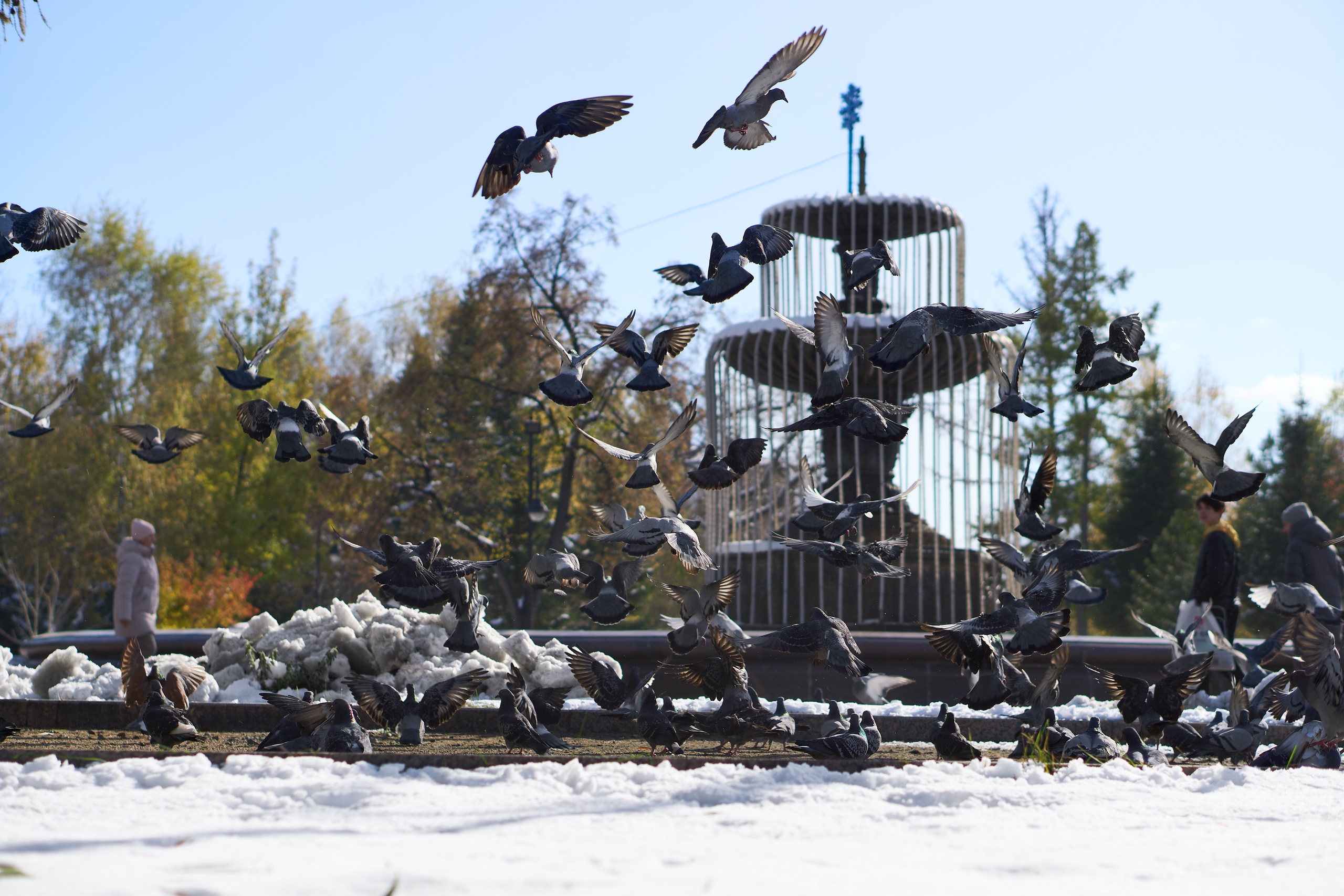 Куда пойти в Омске 14, 15 и 16 ноября