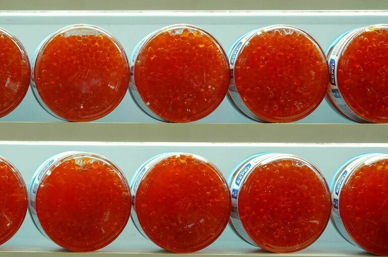 Эксперт объяснила, как можно отличить настоящую красную икру от подделки