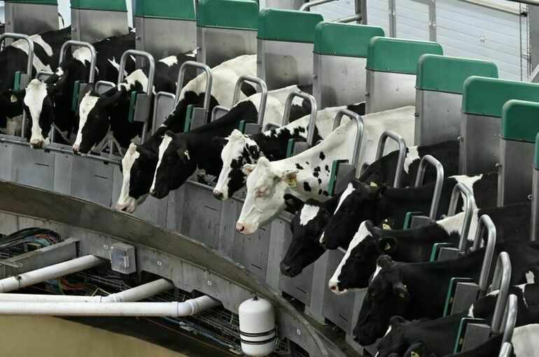 В Омской области стали меньше производить говядины, крупы и сливочного масла