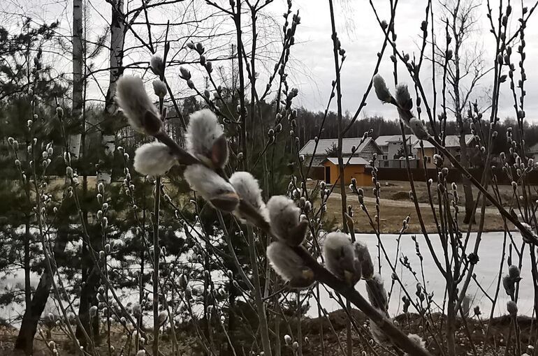 Вербное воскресенье 2026