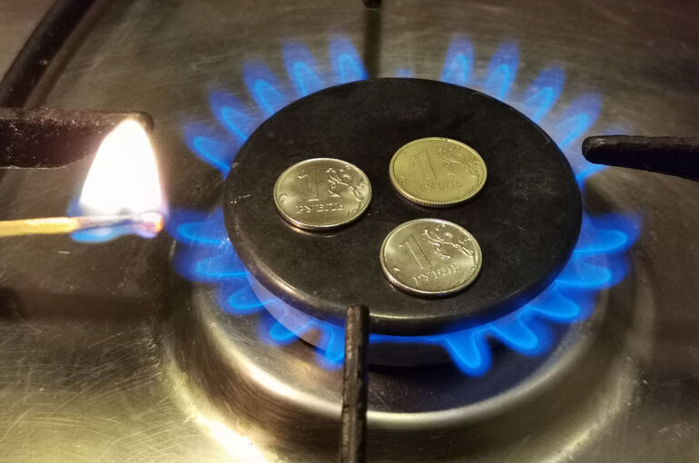 Депутат рассказал, как отличить настоящего газовщика от мошенника